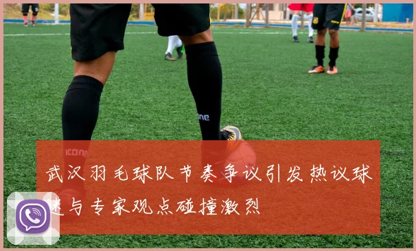 武汉羽毛球队节奏争议引发热议球迷与专家观点碰撞激烈