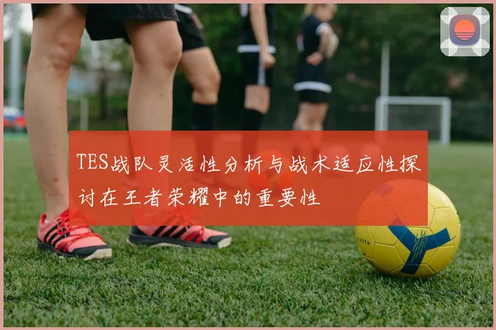 TES战队灵活性分析与战术适应性探讨在王者荣耀中的重要性