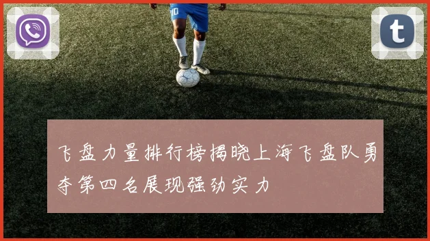飞盘力量排行榜揭晓上海飞盘队勇夺第四名展现强劲实力