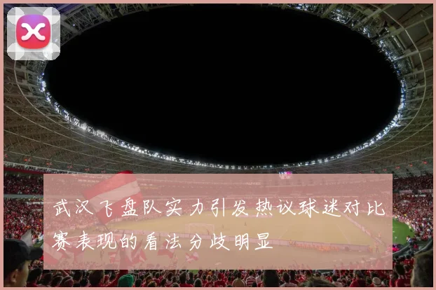 武汉飞盘队实力引发热议球迷对比赛表现的看法分歧明显