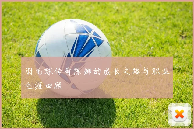 羽毛球传奇陈娜的成长之路与职业生涯回顾