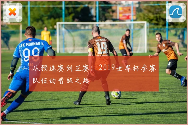 从预选赛到正赛：2019世界杯参赛队伍的晋级之路